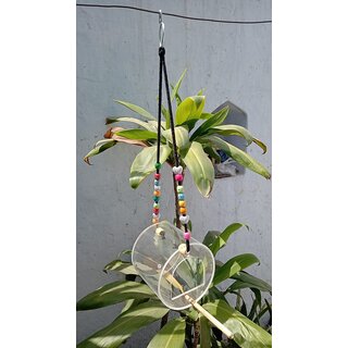 Birds Feeder Imported acrylic Good for Grey Parrot, eclectus Sun Conure Lovebirds Finches Birds' Park Birds Feeder Imported acrylic Good for Grey Parrot, eclectus Sun Conure Lovebirds Finches Birds' Park