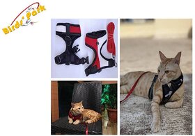 Cat Harness escape-proof soft with nylon lease -Good for Large Cat size32cm neck circumferences Birds' Park