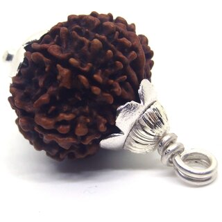                       11 Mukhi Rudraksha With Lab Report Silver Wood Pendant                                              