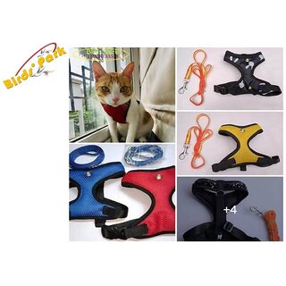 Cat Belt-Cat Harness with Nylon Lease Escape-Proof Size Medium - Good Harness for Medium Size Cat Birds' Park Cat Belt-Cat Harness with Nylon Lease Escape-Proof Size Medium - Good Harness for Medium Size Cat Birds' Park
