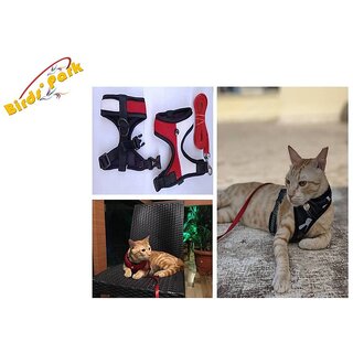 Cat Harness escape-proof soft with nylon lease -Good for Large Cat size32cm neck circumferences Birds' Park Cat Harness escape-proof soft with nylon lease -Good for Large Cat size32cm neck circumferences Birds' Park