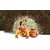 Raj Fancy Dresses Krishna Dress for Kids, Baby Krishna Dress for Janmashtami with Krishna Mukut, 3 Months-8 Years