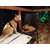 Cat Belt-Cat Harness with Nylon Lease Escape-Proof Size Medium - Good Harness for Medium Size Cat Birds' Park