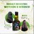 QUEST HERBAL HAIR OIL( PACK OF 4)