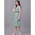 Rayon Floral Print Sleeveless V-neck A-line Dress for Women