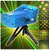 DAYBETTER  Metal DJ Mini Laser Led Projector Stage Light Multi Color - Pack of 1