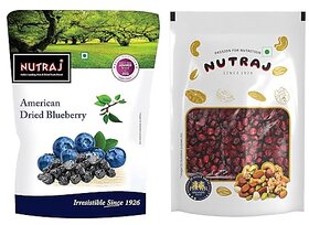 Nutraj Berries Combo 400g