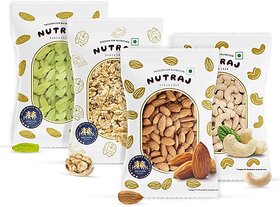 Nutraj Dry Fruit Combo Almond, Cashews, Raisin, Walnut Kernels 400g (100g Each)