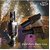 Cold Pyro Gun with 2 Cells  Professional Pyrotechnics Tool for Precise Flame Effects and Controlled Ignition