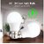 AC/DC Emergency Light Bulb Dual-Purpose Lighting for Power Outages