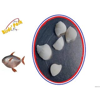                       Kidney or Gallbladder StonesNatural Diagnosis Treatment by Powder of 4gram Fish stomatch Stone 3 Times in a Day                                              