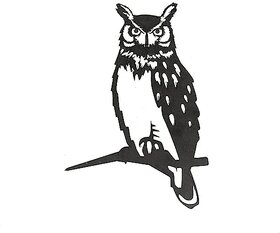 Metal Owl-Unique Outdoor Metal Yard Art Decor-Artistic Birds for Garden, Patio  Yard-Durable Sculptures-Solid Metal-Pow
