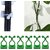 Plant Support for Climbers 20 PCS Leaf Plant Organiser Clip Money Plant Clips for Wall Support Creeper Plant Support Climber Support for Plants Plant Holder for Wall Climbing Wall Clips