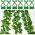Plant Support for Climbers 20 PCS Leaf Plant Organiser Clip Money Plant Clips for Wall Support Creeper Plant Support Climber Support for Plants Plant Holder for Wall Climbing Wall Clips