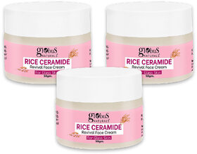 Globus Natural Rice Ceramide Revival Face Cream, For Korean Glass Skin, 50 gm (pack of 3 )