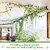 (Pack of 10) Plant Climbing Wall Fixture Clips Wall Vine Climbing Plant Support Hook Plant Straightener