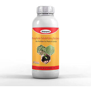                       Katyayani Phosphate Solubilizing Bacteria Bio Fertilizer                                              