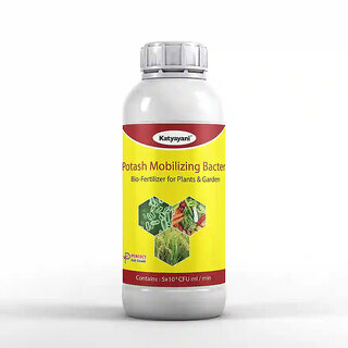 Katyayani Potash Mobilizing Bacteria Bio fertilizer Katyayani Potash Mobilizing Bacteria Bio fertilizer