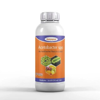Katyayani Acetobacter Nitrogen Fixing Bio fertilizer Katyayani Acetobacter Nitrogen Fixing Bio fertilizer