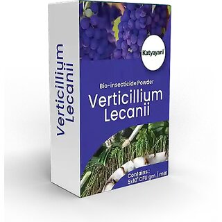 Katyayani Verticillium Lecanii Powder Bio Insecticide Katyayani Verticillium Lecanii Powder Bio Insecticide