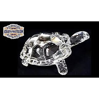 crystal tortoise crystal tortoise