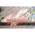 Homeberry Cotton Solid Face Towel 451-500 GSM ( Pack of 1 ) - Assorted Colour