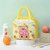 Canvas Cloth 3D Printed Insulated Travel Lunch/Tiffin/Storage Bag for Office