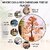 Crystal Divine Red Carnelian Crystal Tree Handmade Home Decor Items Crystal Bonsai Tree Showpiece for Home Decor Vastu G
