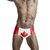 Canada UK USA Flag Swimming Trunks For Men Swimwear Mens Swim Shorts Boxer Briefs Beach Swimsuits Bathing Suit Man (UK-L)