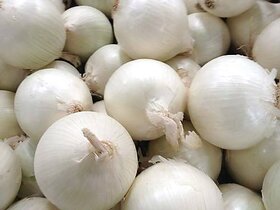 White Onion Seeds-100 Seeds Pack