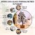 Crystal Divine Black Tourmaline Chips Crystal Tree Handmade Natural Gemstone Tree for Protection and Energy Cleansing Cr