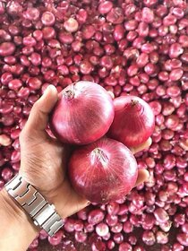 Red Onion Vegetable- Pack Of 100 Seeds