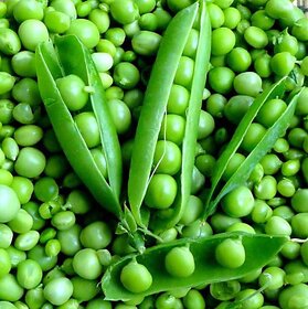 Peas/Matar Vegetable Pack Of 50 Seeds