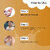 Globus Naturals Body Lotion Combo Set of 3 Vitamin C  Mix Fruit Papaya Body Lotion For NonGreasy Lightweight Body Moisturizer for Women  Men  All Skin Types