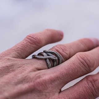                       Hiphop Rock Punk Rings Men Creative Gothic Snake Ring Vintage Silver Male Jewelry Accessories Twisted Ring Boyfriend Gift                                              