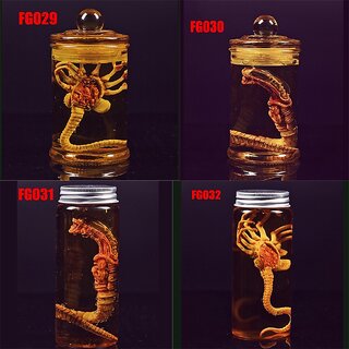 Buy 1:6 Scale Alien Larva & High Transparent Glass Bottle Predator ...