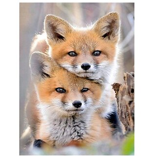                       Diamond Painting Fox Diamond Embroidery Animal Diy Diamond Full Drilling Cross Stitch Christmas Gift                                              