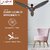 ZOOM Lotus High Speed Ceiling Fan, (48 Inch), Indoor/Outdoor, Star Rating & BEE star Rating Fan