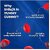 Nutriburst Shilajit Resin Gummies Ayurvedic Herbal Blend with Swarna Bhasma KSM-66 Ashwagandha Black  and Ginger Natural Energy and Vitality Boost Mixed-Berry Flavor  30 Gummies 1 month pack