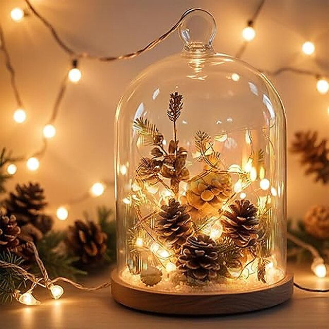Set of 4 Electric 3 Meter LED Warm Rice String Lights (Multicolor)
