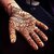 Rajasthani Natural Mehendi Powder for Hair, Hand and Feet (Pack of 4)(100 gm each)