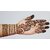 Rajasthani Natural Mehendi Powder for Hair, Hand and Feet (Pack of 4)(100 gm each)