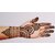 Rajasthani Natural Mehendi Powder for Hair, Hand and Feet (500 gm) (Pack of 01)