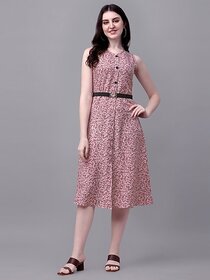 Parnavi Women A-Line Pink Dress