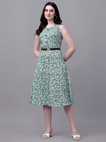 Parnavi Women A-Line Green Dress