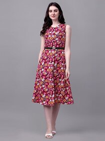 Parnavi Women A-Line Multicolor Dress