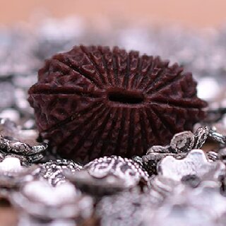 Natural 21 mukhi Rudraksha With Lab Certificate Original Shiv Beads Rudraksha By Jaipur Gemstone Natural 21 mukhi Rudraksha With Lab Certificate Original Shiv Beads Rudraksha By Jaipur Gemstone