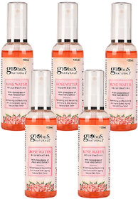 Globus Naturals Rose Toner, 100 ml, Set of 5