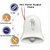 Dor Bell