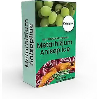 Katyayani Metarhizium Anisopliae | Powder Bio Insecticide Katyayani Metarhizium Anisopliae | Powder Bio Insecticide